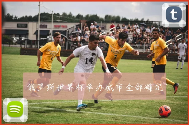 俄罗斯世界杯举办城市全部确定