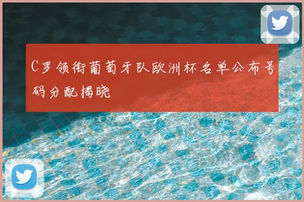 C罗领衔葡萄牙队欧洲杯名单公布号码分配揭晓