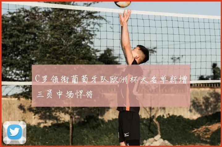 C罗领衔葡萄牙队欧洲杯大名单新增三员中场悍将