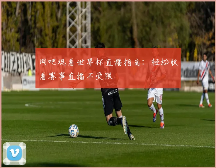 网吧观看世界杯直播指南：轻松收看赛事直播不受限